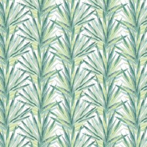 Roller Blinds - Tropic Lima