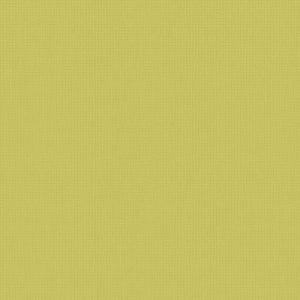 Roller Blinds - Arona FR Zest