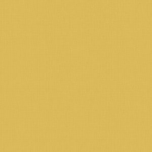 Roller Blinds - Arona Ray